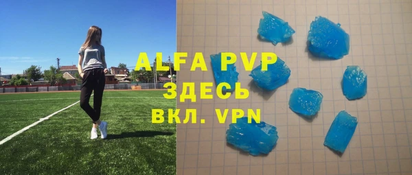 стаф Алзамай