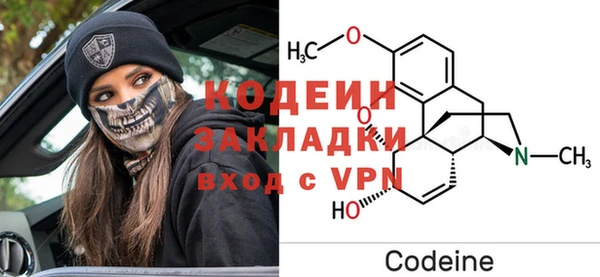 стаф Алзамай