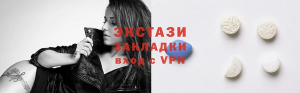стаф Алзамай