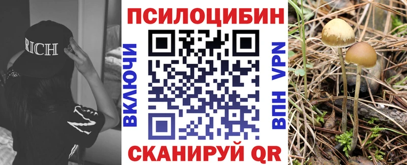 Псилоцибиновые грибы мицелий  Павловский Посад 